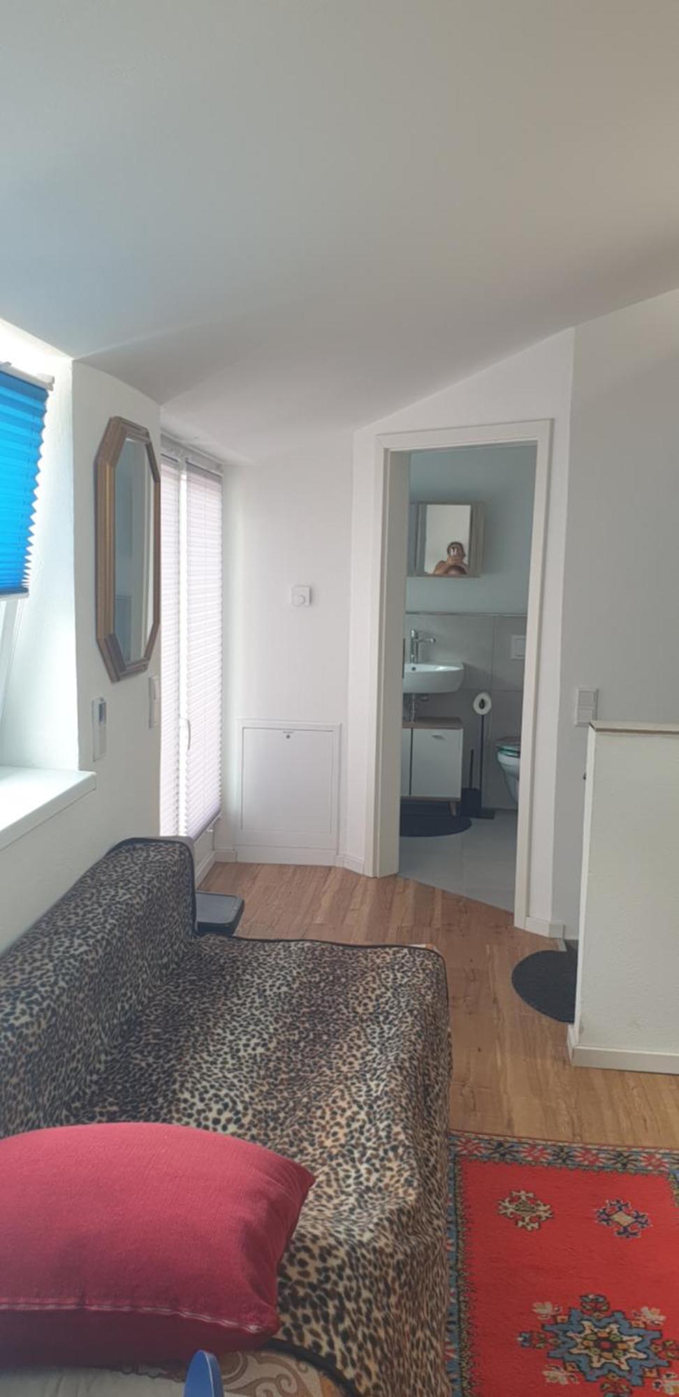3 Seperate Apartments - 1,5 Room Apt - 2,5 Rooms Apt - 3,5 Rooms Apt Mit Sauna And Kamin Мюнхен Екстер'єр фото